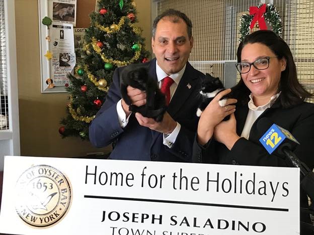 Saladino and Johnson Announce Home for the Holidays Free Pet Adoptions