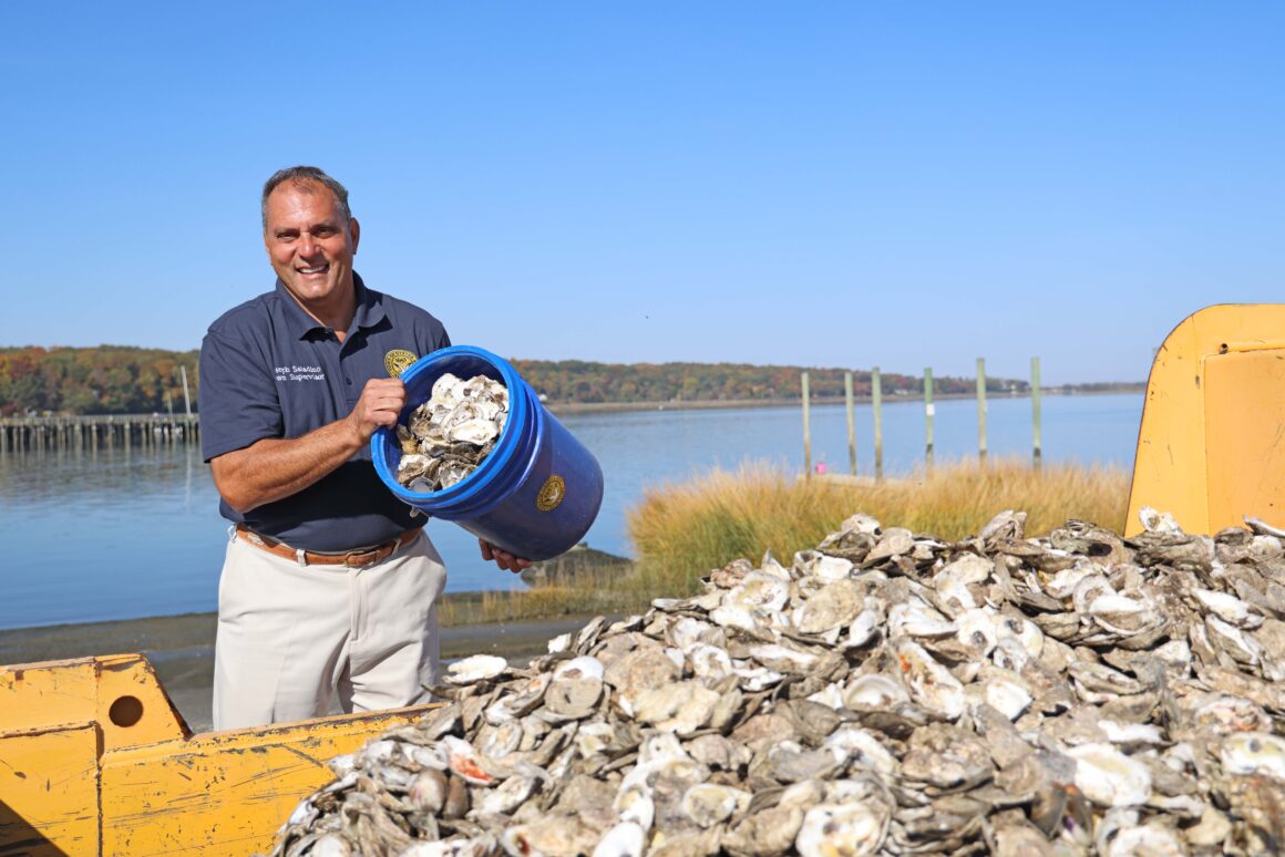 Town Seeks Volunteers to Assist in Shell Recycling at Oyster Festival