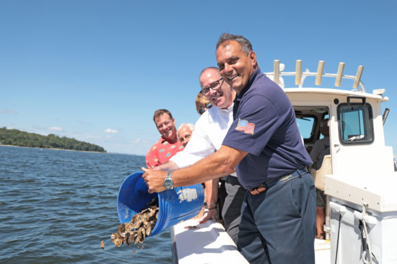 Officials, Environmental Groups Partner to ‘Keep Oysters’ in Oyster Bay