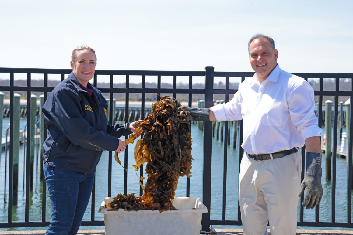 Town Unveils ‘Farm to Fairway’ Kelp Farming Initiative