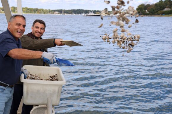 Town Adds Thousands of Baby Clams & Oysters to Oyster Bay Harbor Shellfish Sanctuaries