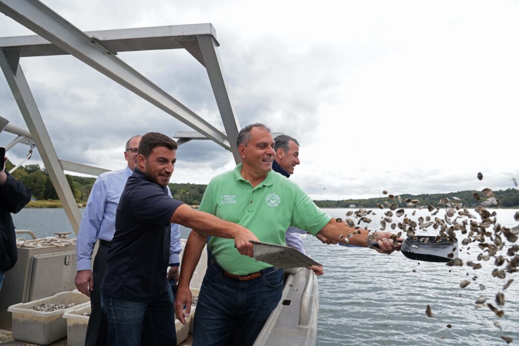 Town Adds 6 Million Baby Clam & Oyster Seeds to Oyster Bay Harbor