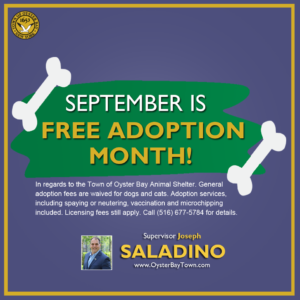 Saladino and Hand Announce September as Free Animal Adoption Month