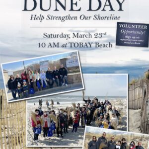 Volunteers Wanted for Dune Grass Planting Day at TOBAY Beach