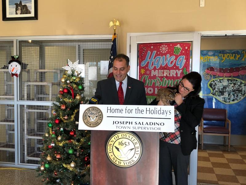 Saladino, Johnson Announce ‘Home for the Holidays’ Free Cat Adoptions