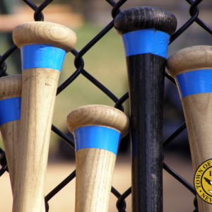 Massapequa Coast Little League Donates New Batting Cages for John Burns Park