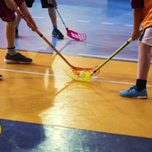 Councilman Labriola Announces Free Outdoor Youth Floorball Clinic
