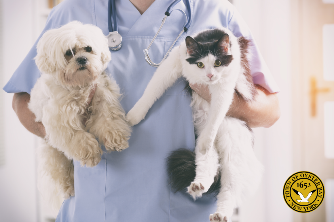 Saladino, Johnson Announce Free Rabies Clinic for Dogs Cats and Ferrets on September 14th