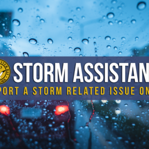 Town of Oyster Bay Storm Assistance Form