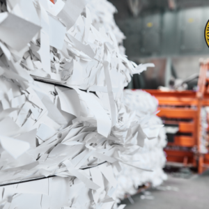 Homeowners Cleanup Paper Shredding Day on August 14th