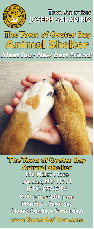 Animal Shelter – Town of Oyster Bay