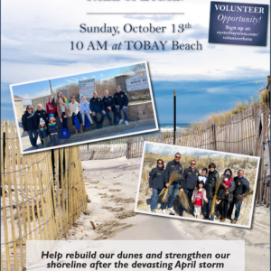 Volunteers Welcomed to Plant Dune Grass at TOBAY Beach