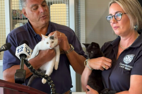 FullSizeR Free Pet Adoption Month this September at Town Animal Shelter