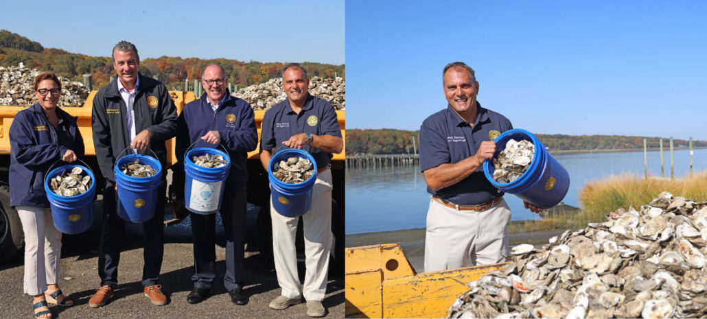 Town Recycles Thousands of Shells from Oyster Festival for Harbor Sanctuary