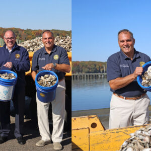 Town Recycles Thousands of Shells from Oyster Festival for Harbor Sanctuary