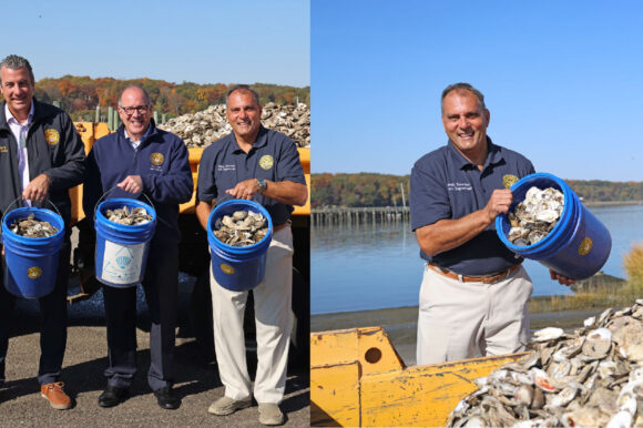 Town Recycles Thousands of Shells from Oyster Festival for Harbor Sanctuary