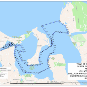 Oyster Bay Town Board Imposes Harvesting Freeze to Boost Shellfish in Northshore Waters