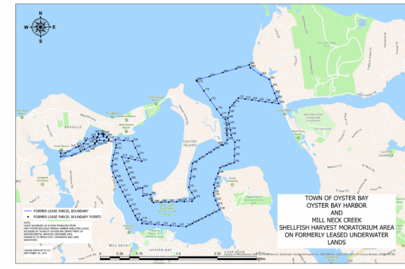 Oyster Bay Town Board Imposes Harvesting Freeze to Boost Shellfish in Northshore Waters