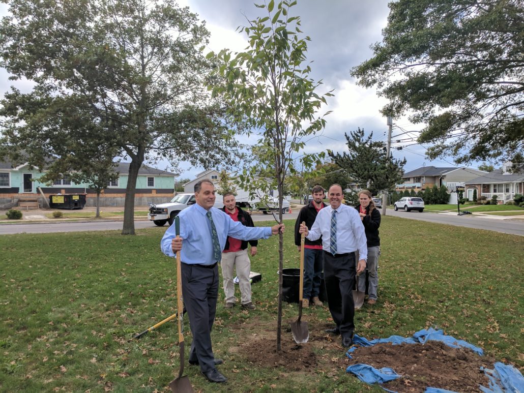 Town Plants 250+ Trees in Superstorm Sandy Impacted Communities