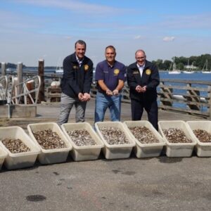 Town Seeds Oyster Bay Harbor with 12 Million Baby Oyster and Clam Seeds
