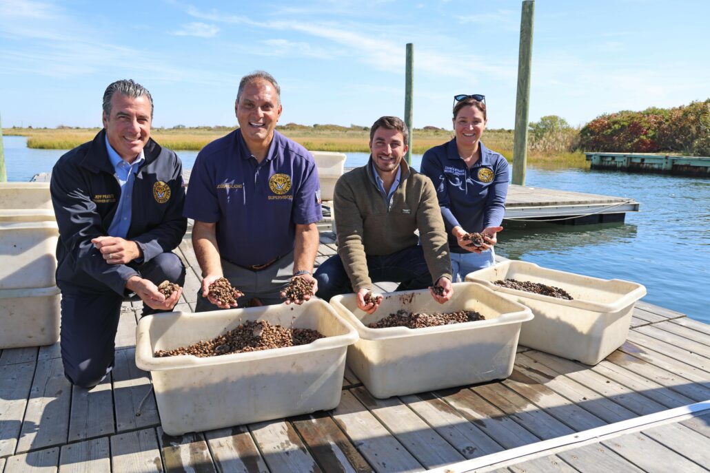 Town Seeds South Shore Waters with 2 Million Clam Seedlings